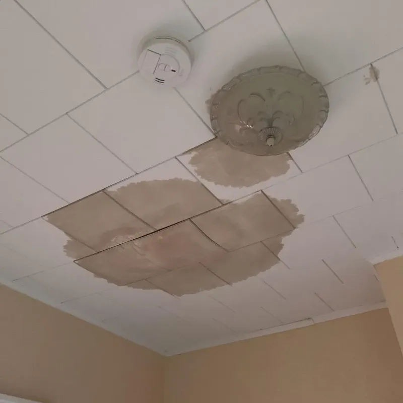 Ceiling Water Damage Repair in Kenton, OR